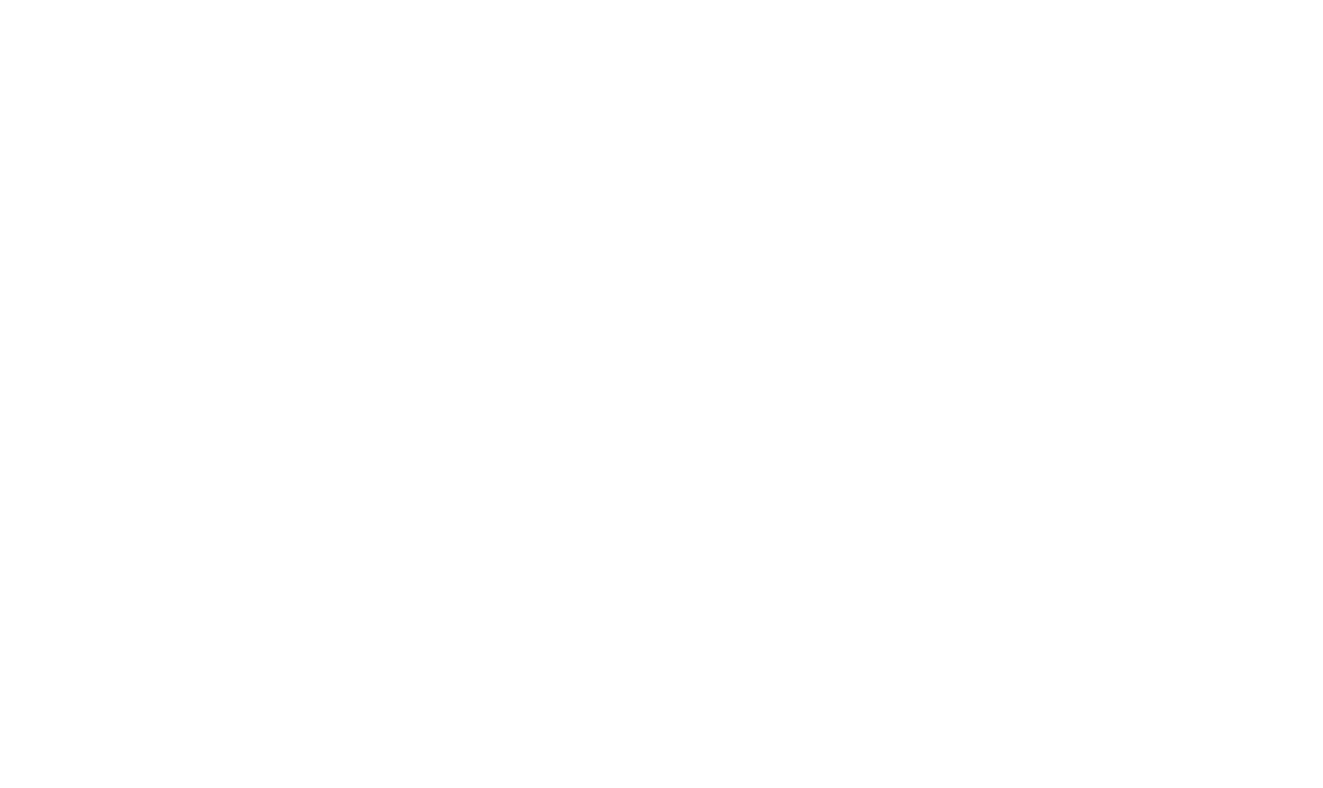 Lisa Vecchiarelli